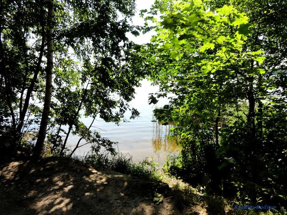 Пестовское водохранилище