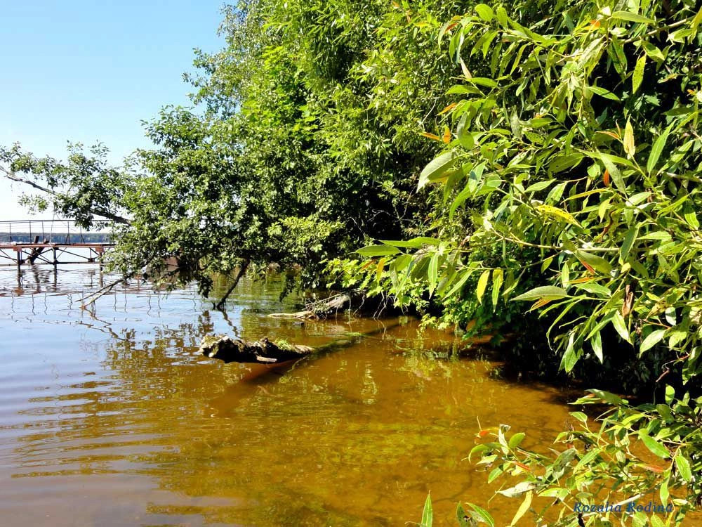 Пестовское водохранилище