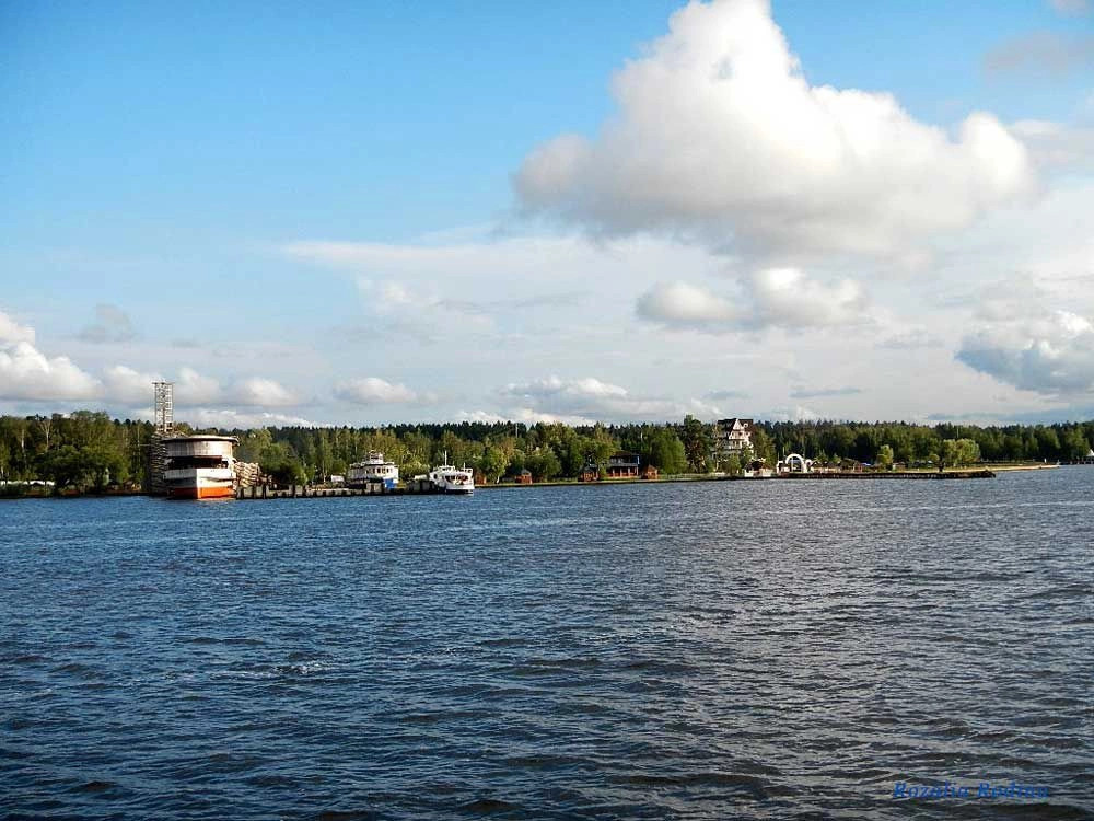 Водники