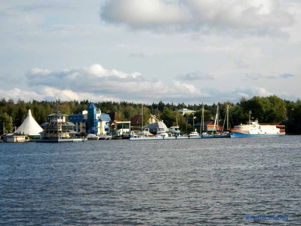 Водники