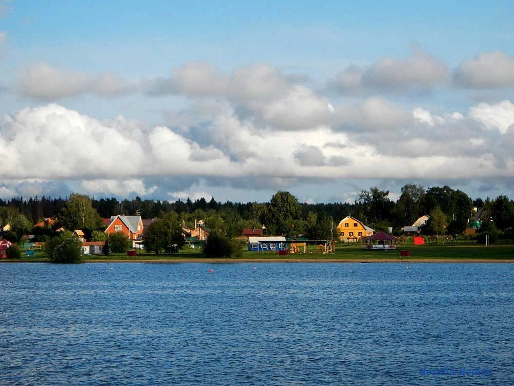Водники