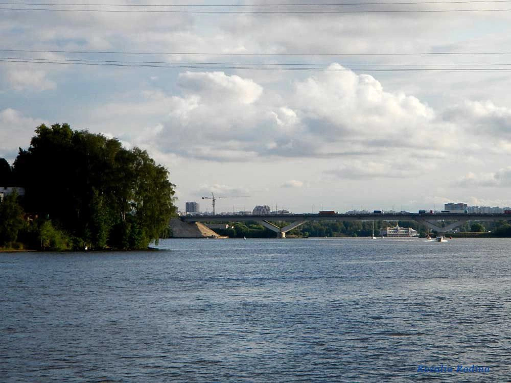 Водники