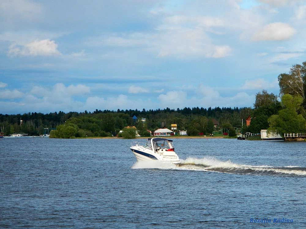 Водники