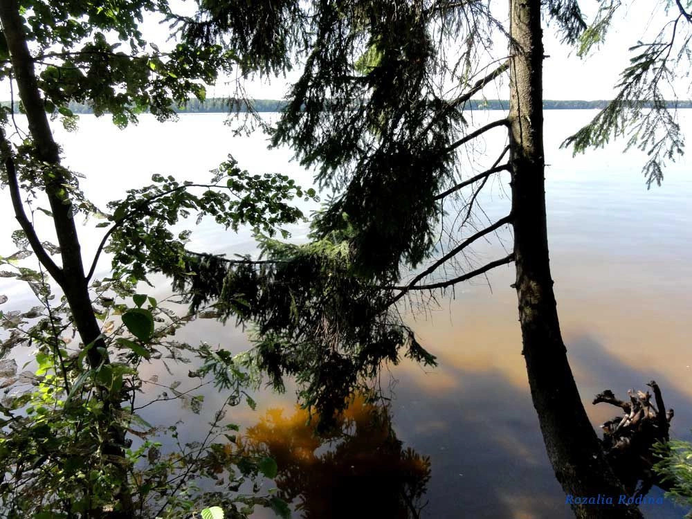пристань Хвойный бор