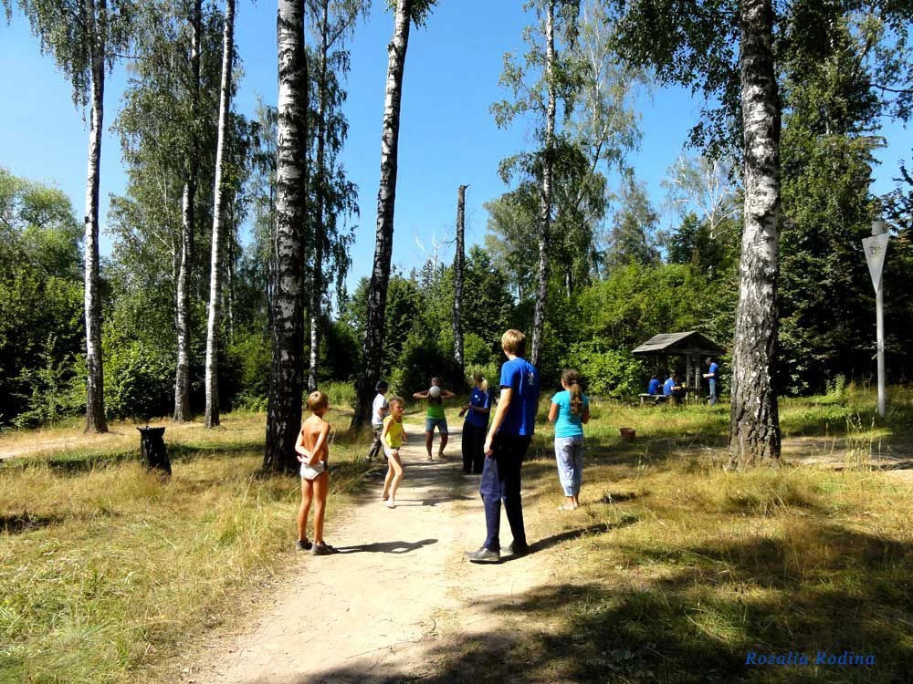 пристань Хвойный бор