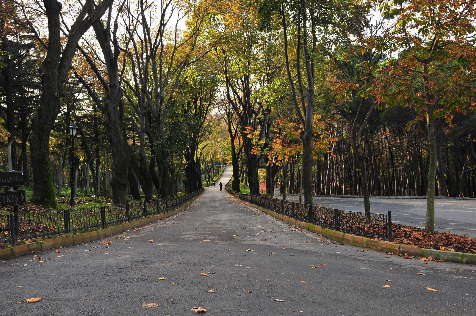 Сарыер