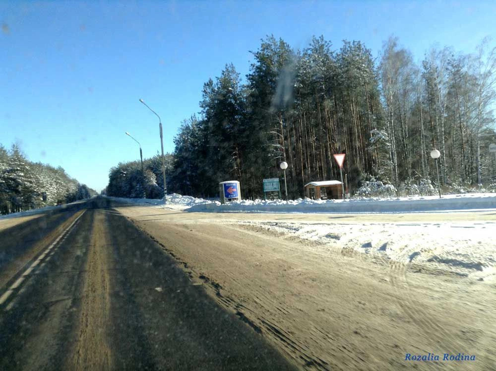Злынковский район