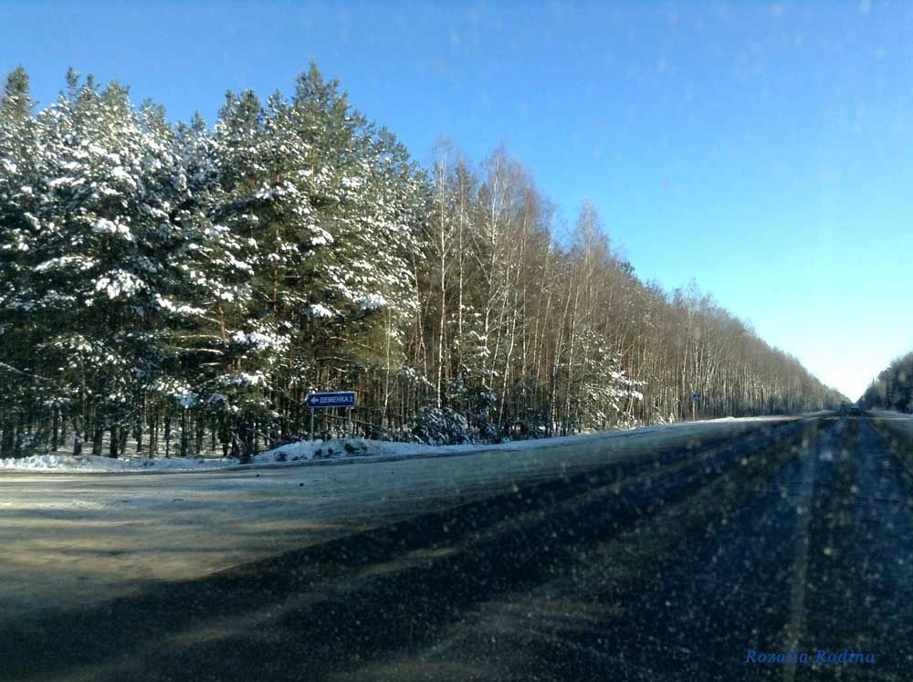 Деменка село