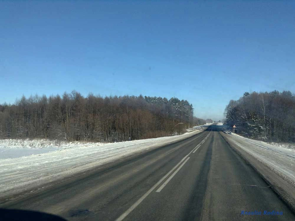 Новозыбковский район