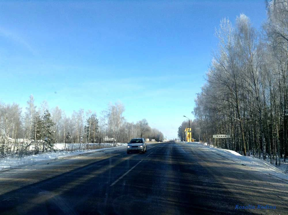 Новозыбковский район