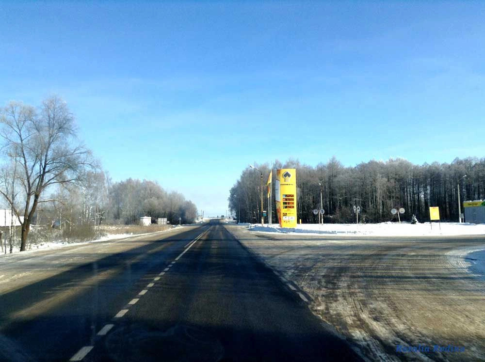 Новозыбковский район