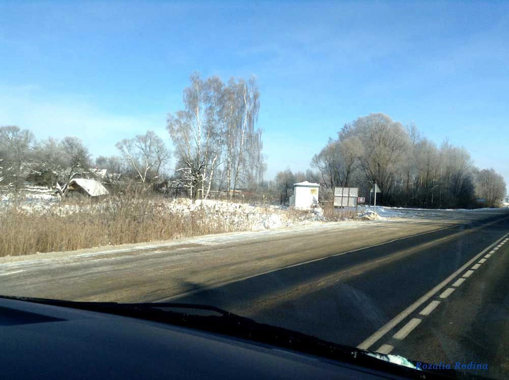 Новозыбковский район