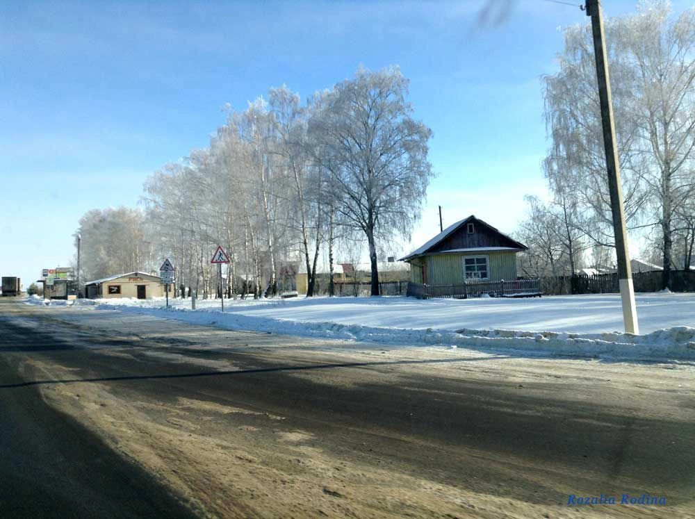 Новозыбковский район