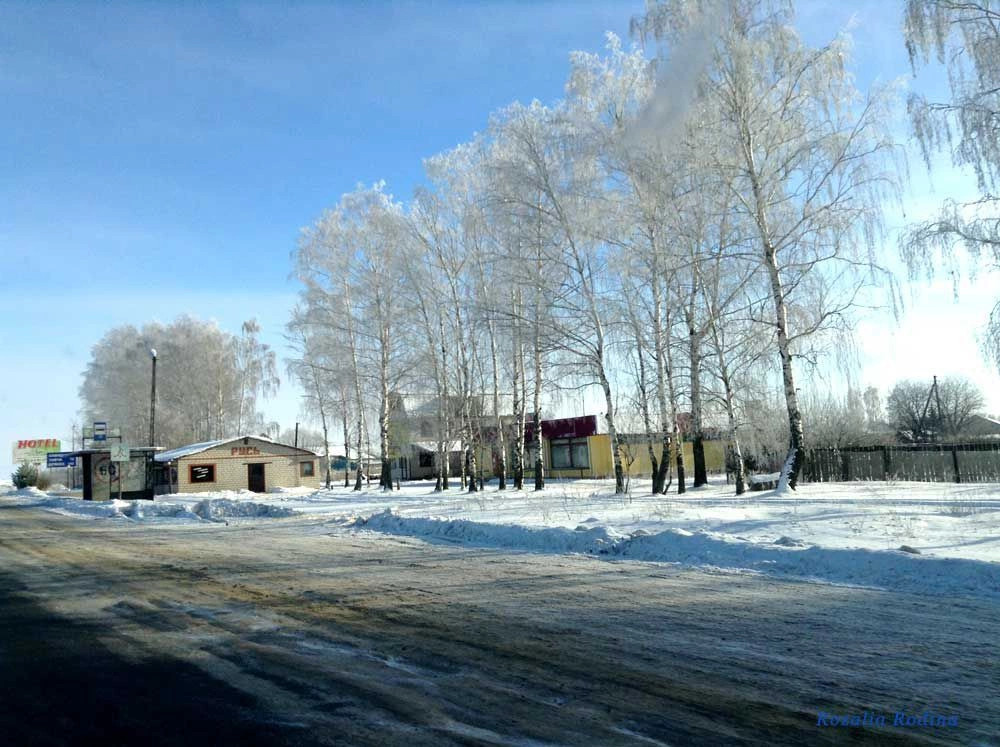Новозыбковский район