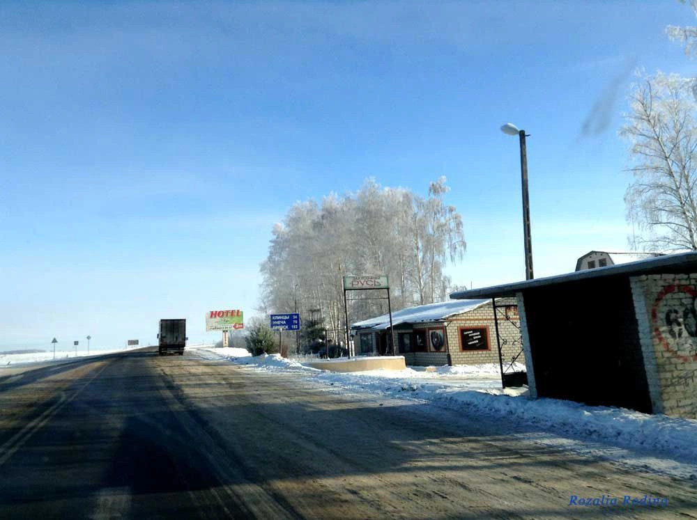 Новозыбковский район