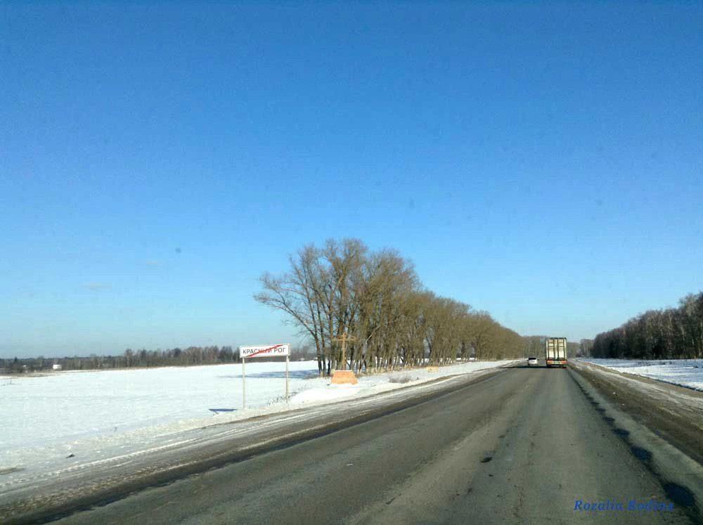 Красный Рог (Почепский район)