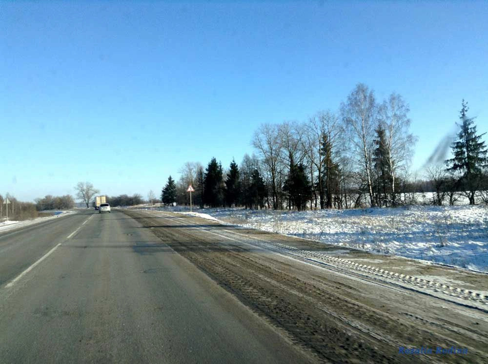 Весенний поселок (Почепский р-н)