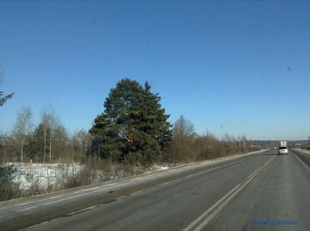 Локня деревня (Почепский р-н)