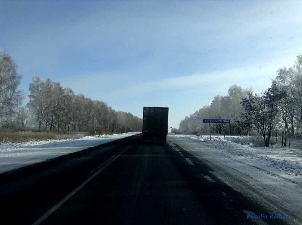 Борозднино деревня
