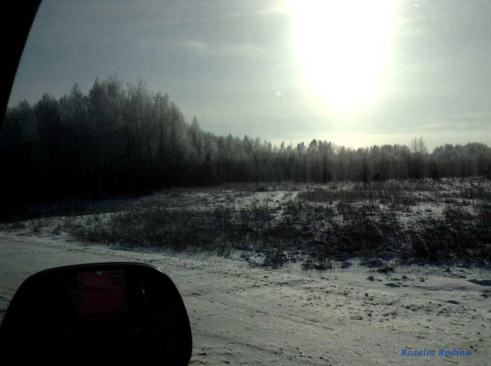 Борозднино деревня