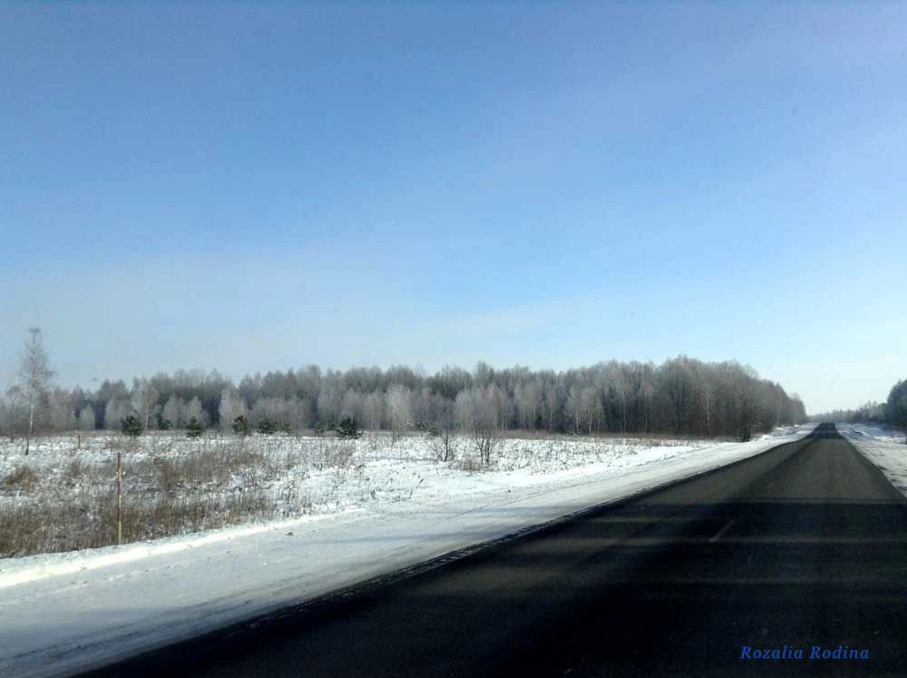 Борозднино деревня