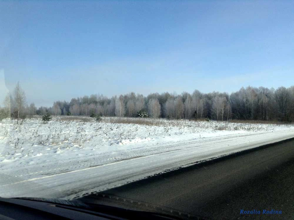 Борозднино деревня