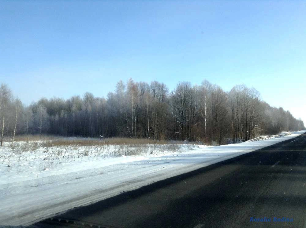 Борозднино деревня