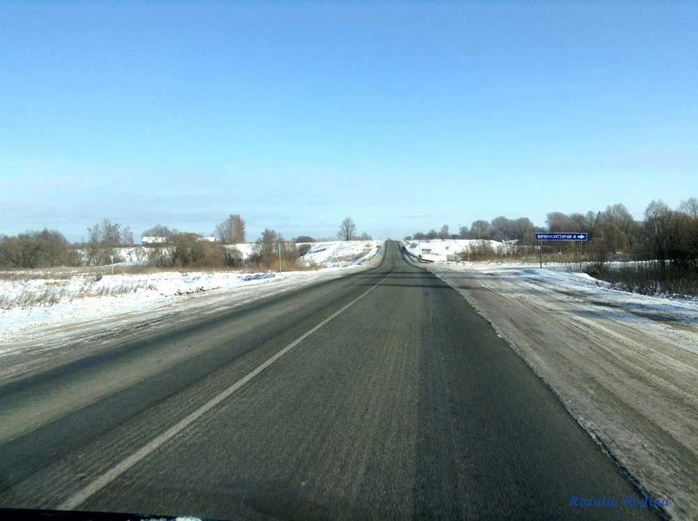 Брянкустичи село