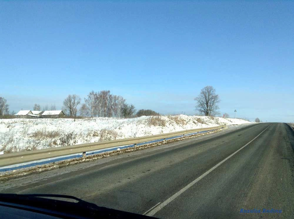Брянкустичи село