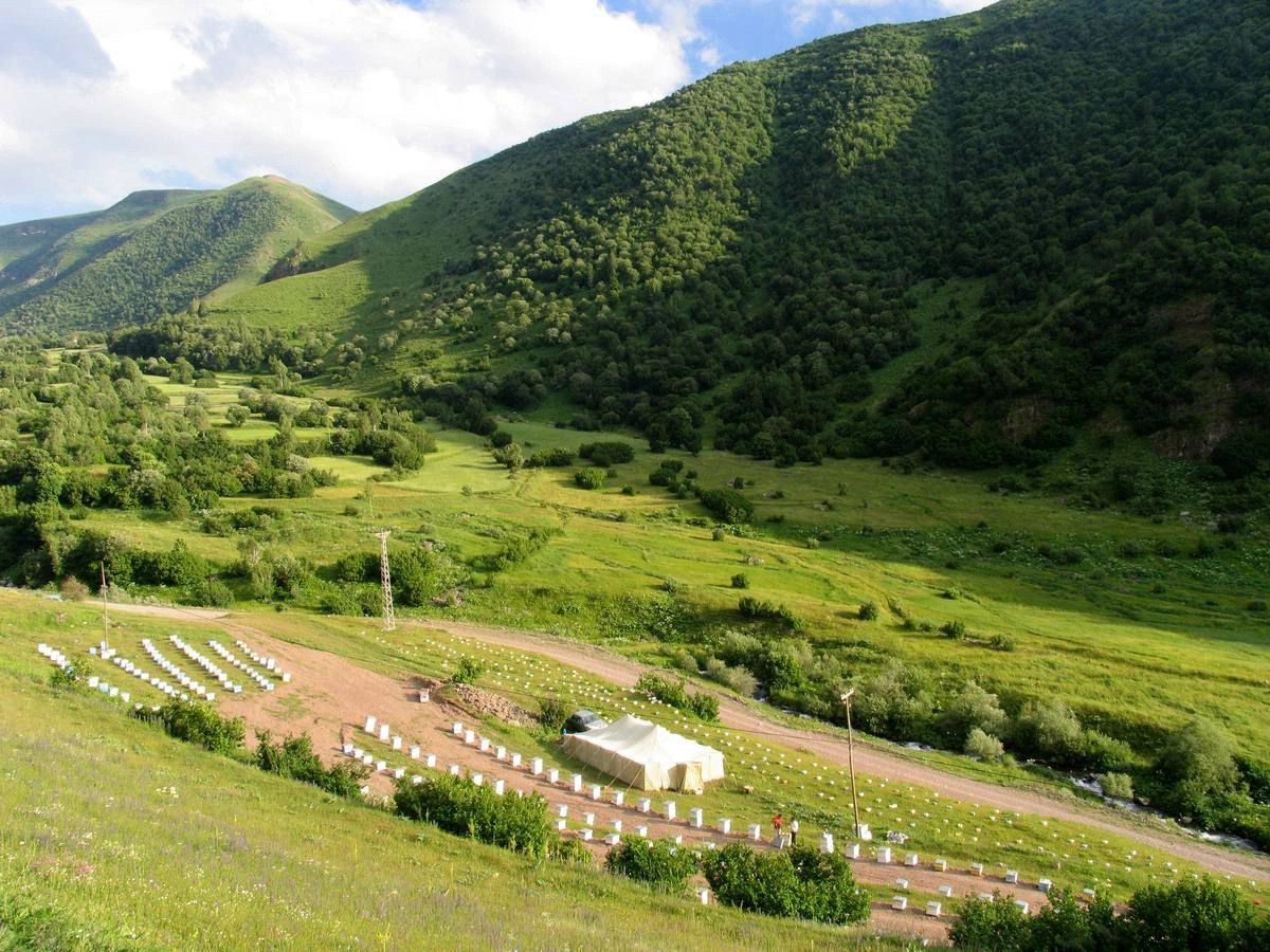 Ардахан