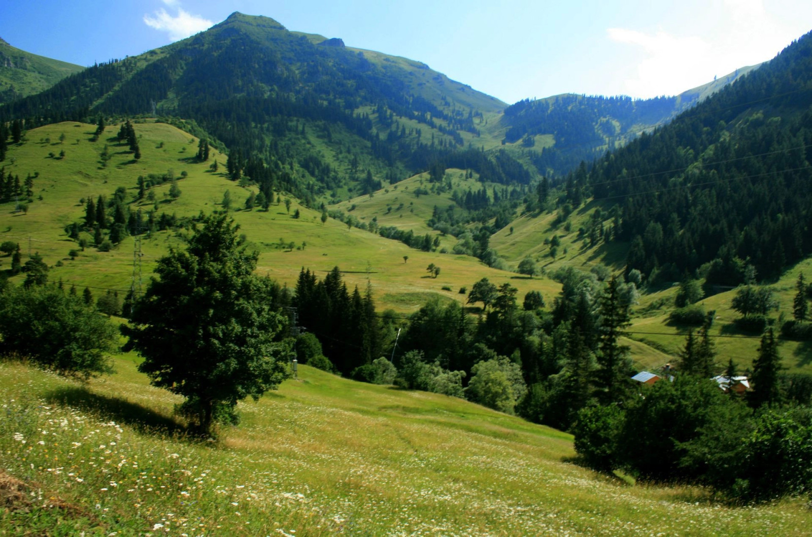 Ардахан