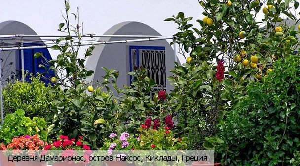 Дамарионас