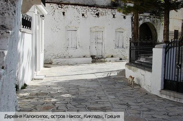 Калоксилос
