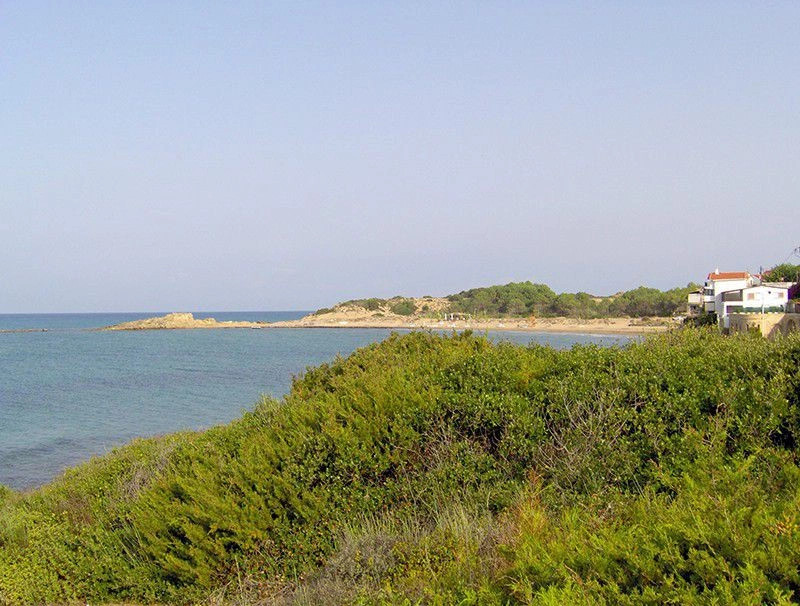 Аркуди