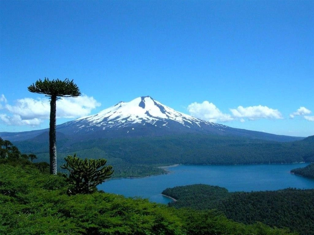 Араукания