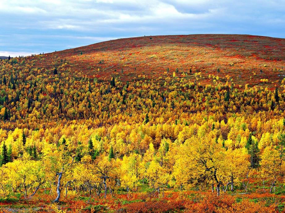 Лапландия