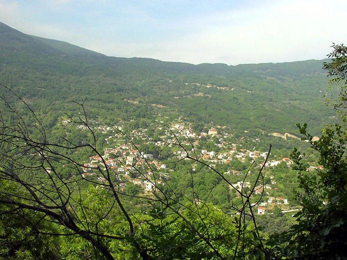 Дракия
