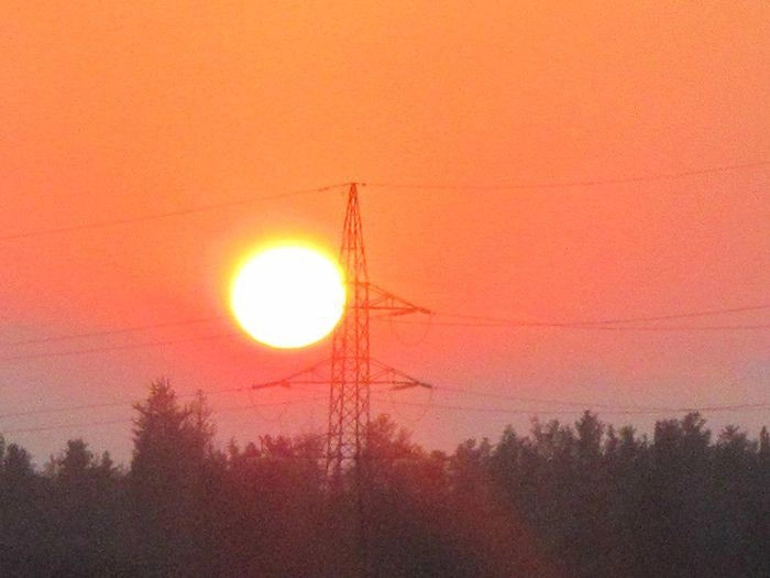 Колони