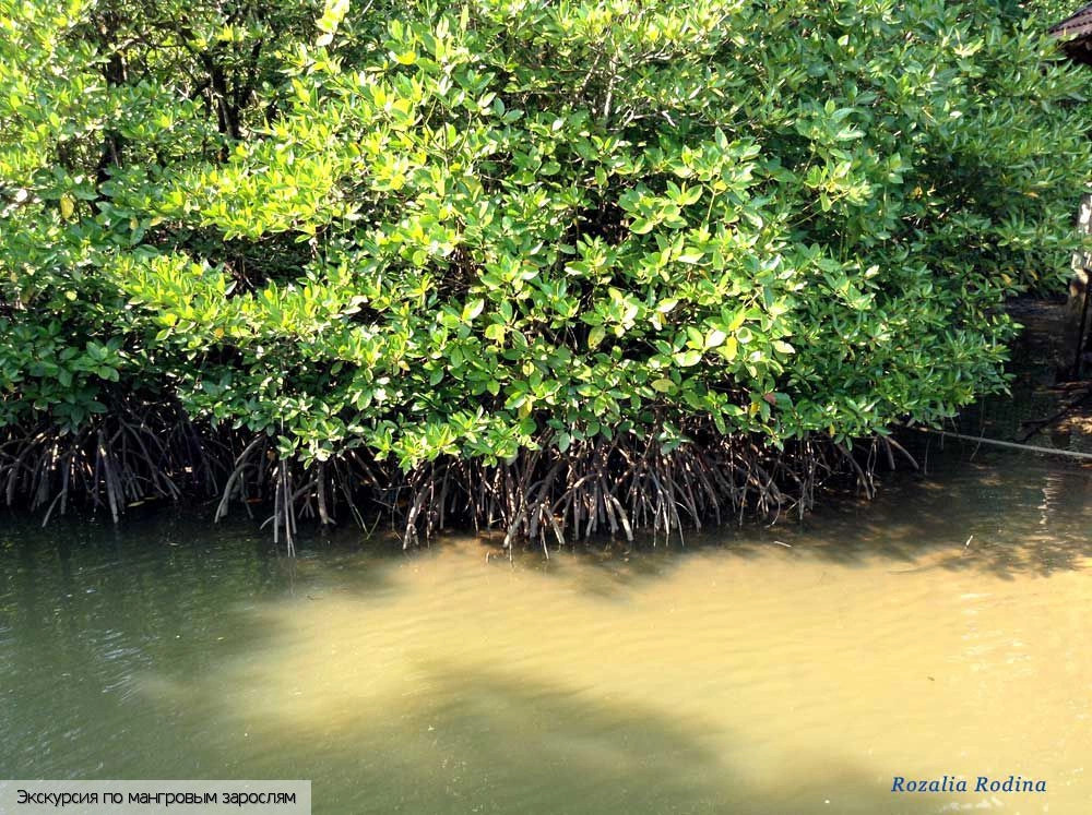 Бан-Са-Лак-Кхок