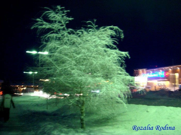 Леви