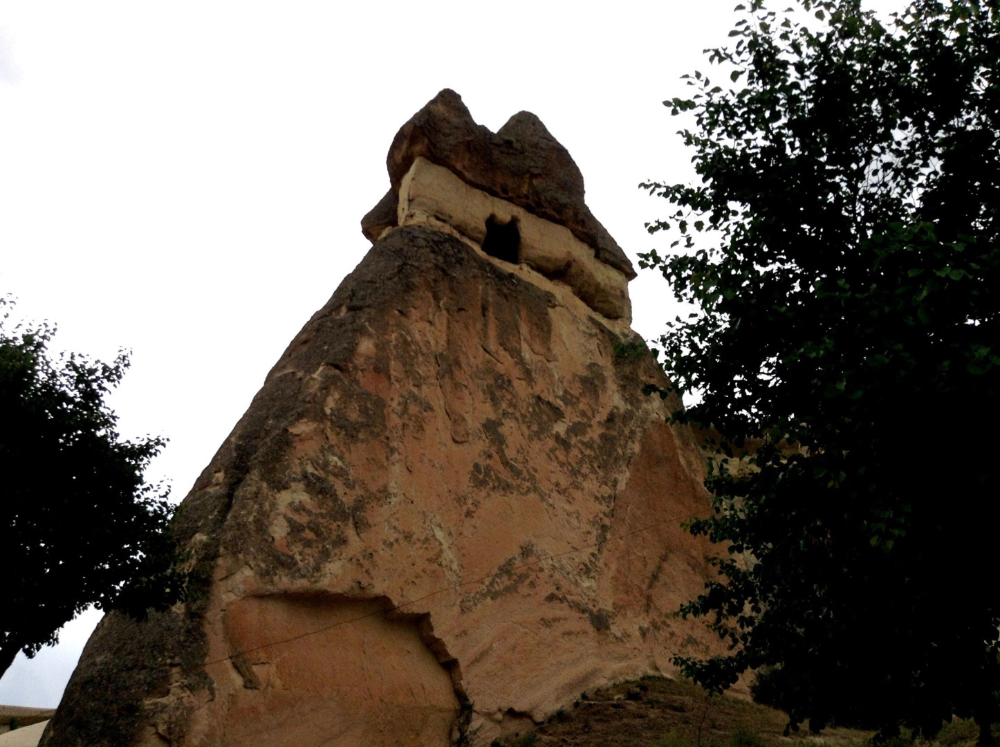 Пашабагалары