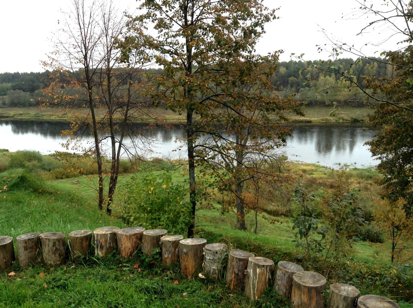 Старицкий район