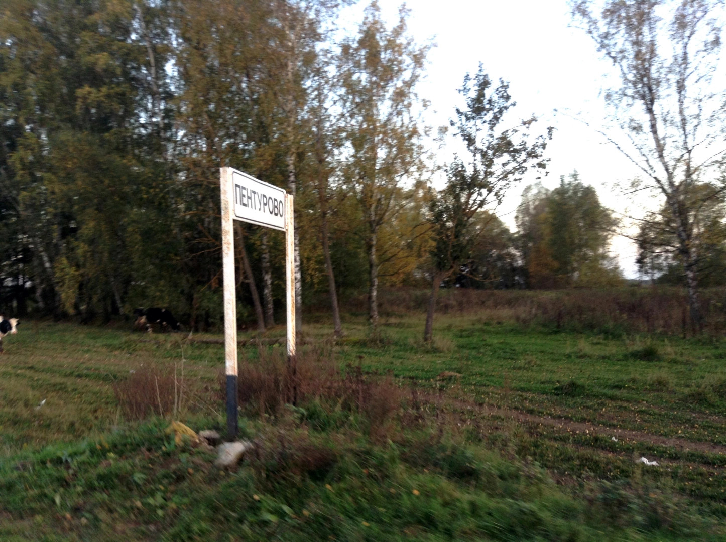 Паньковское сельское поселение