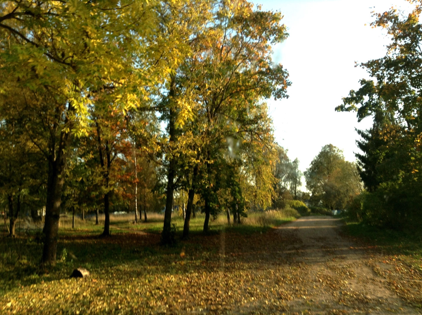 Берново деревня
