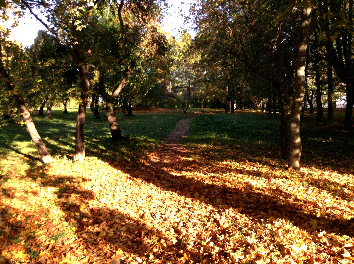 Берново деревня