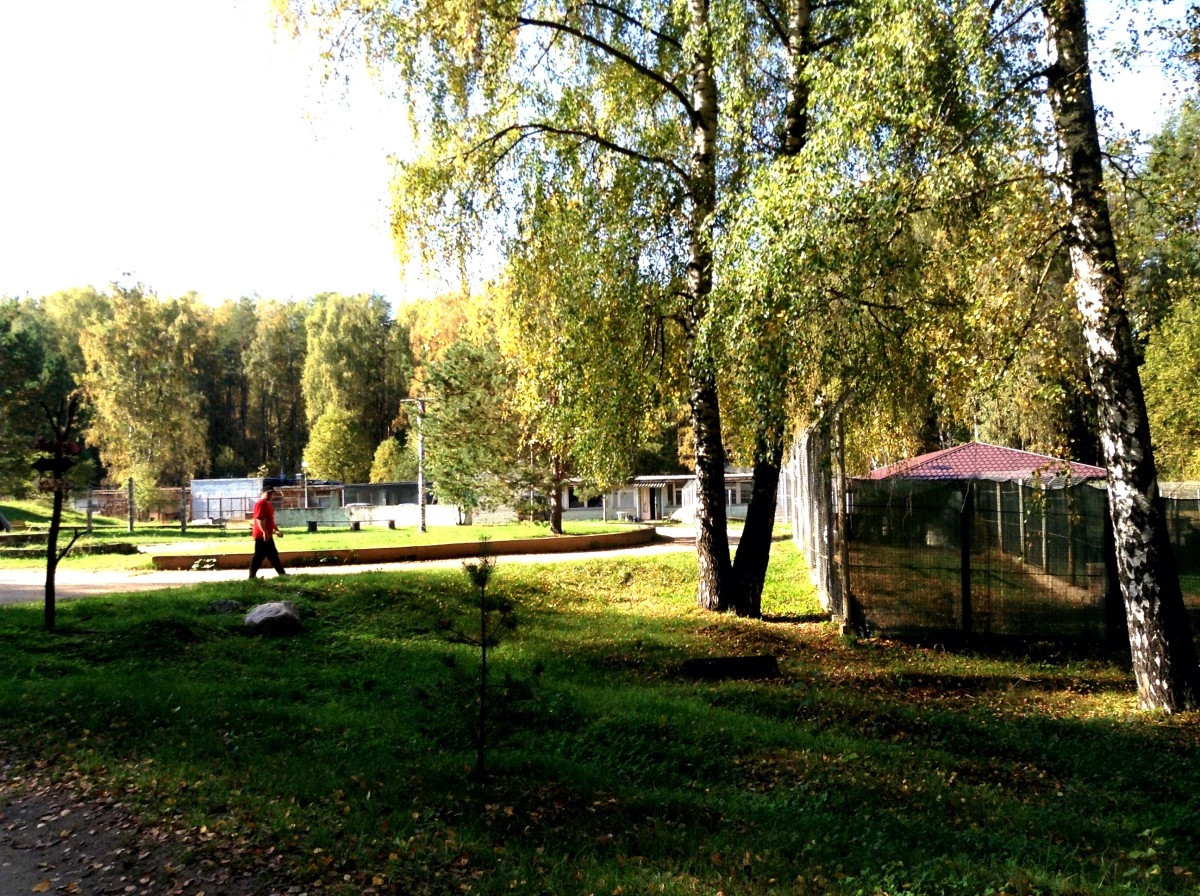 Чукавино деревня