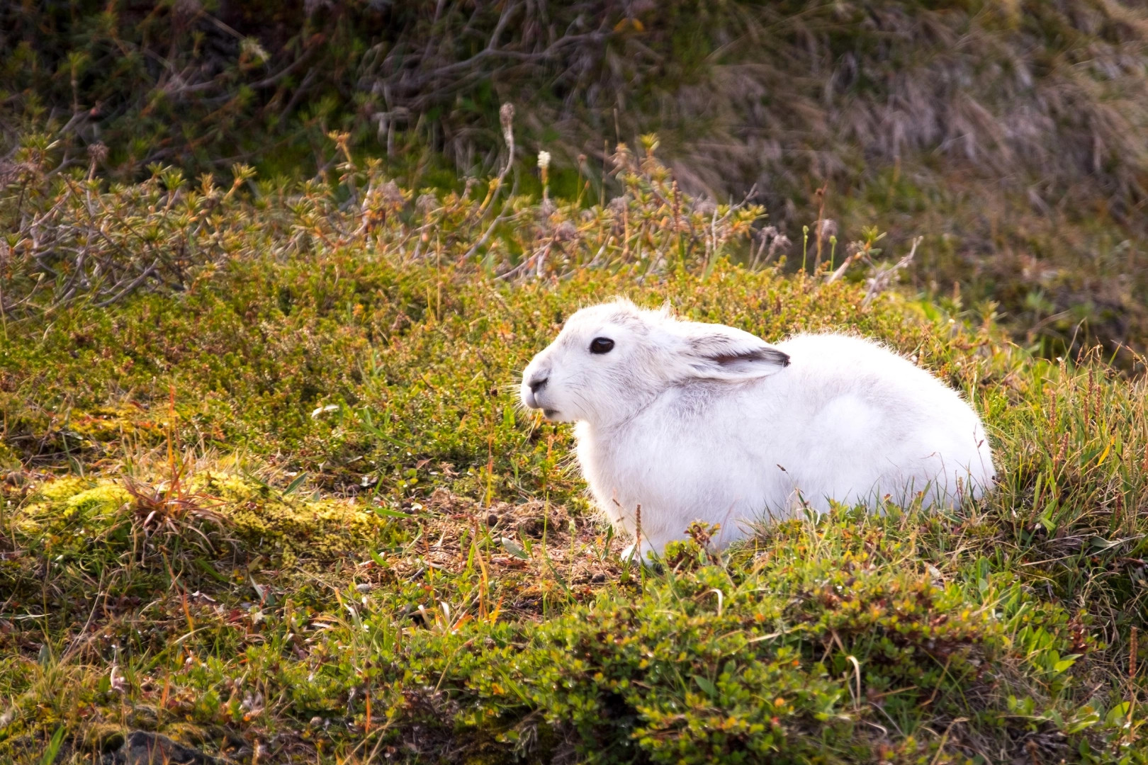 Тропа Полярного круга