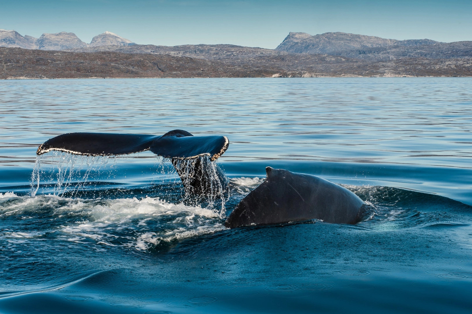 Нуук Фьорд