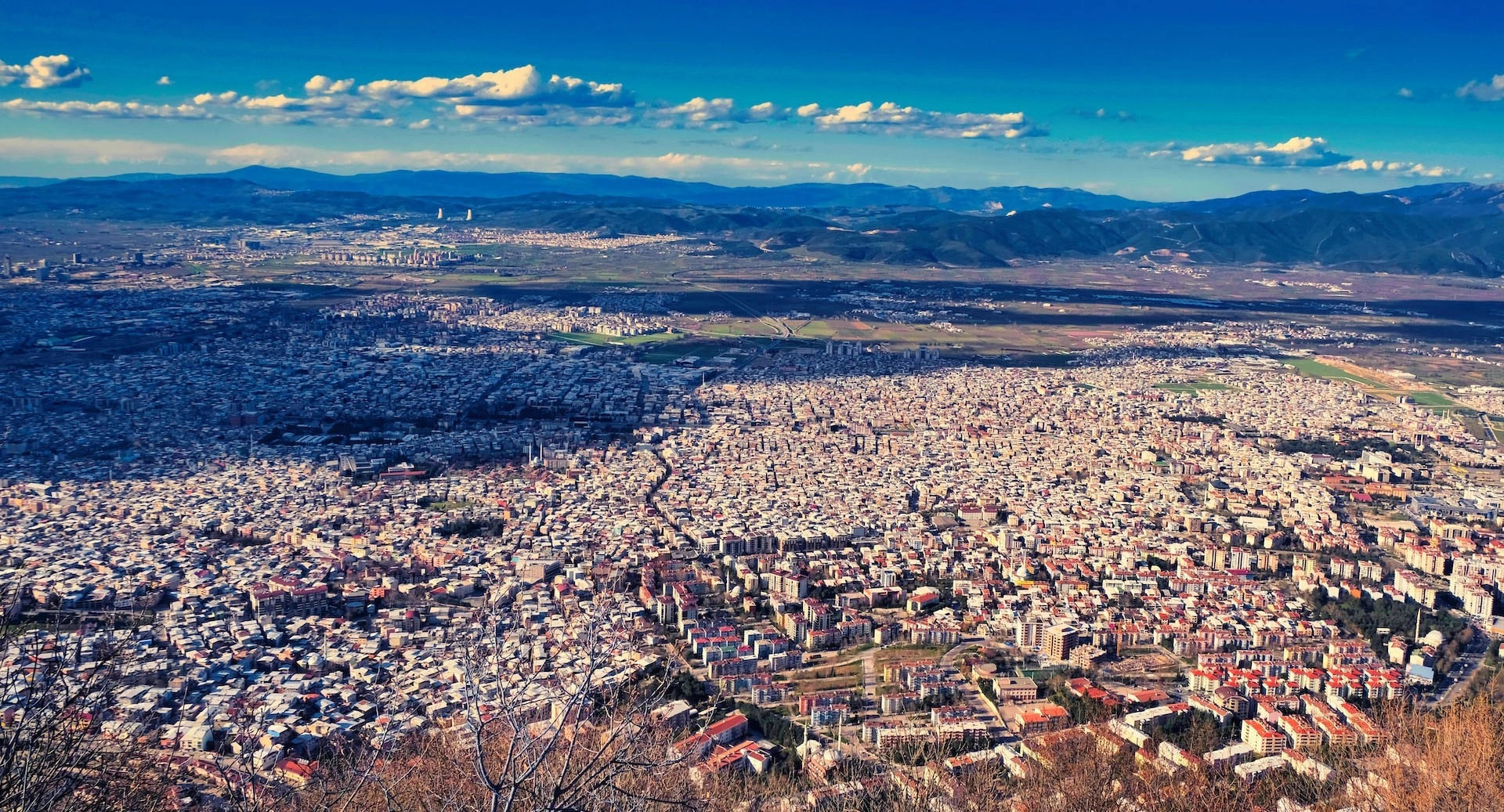 Бурса