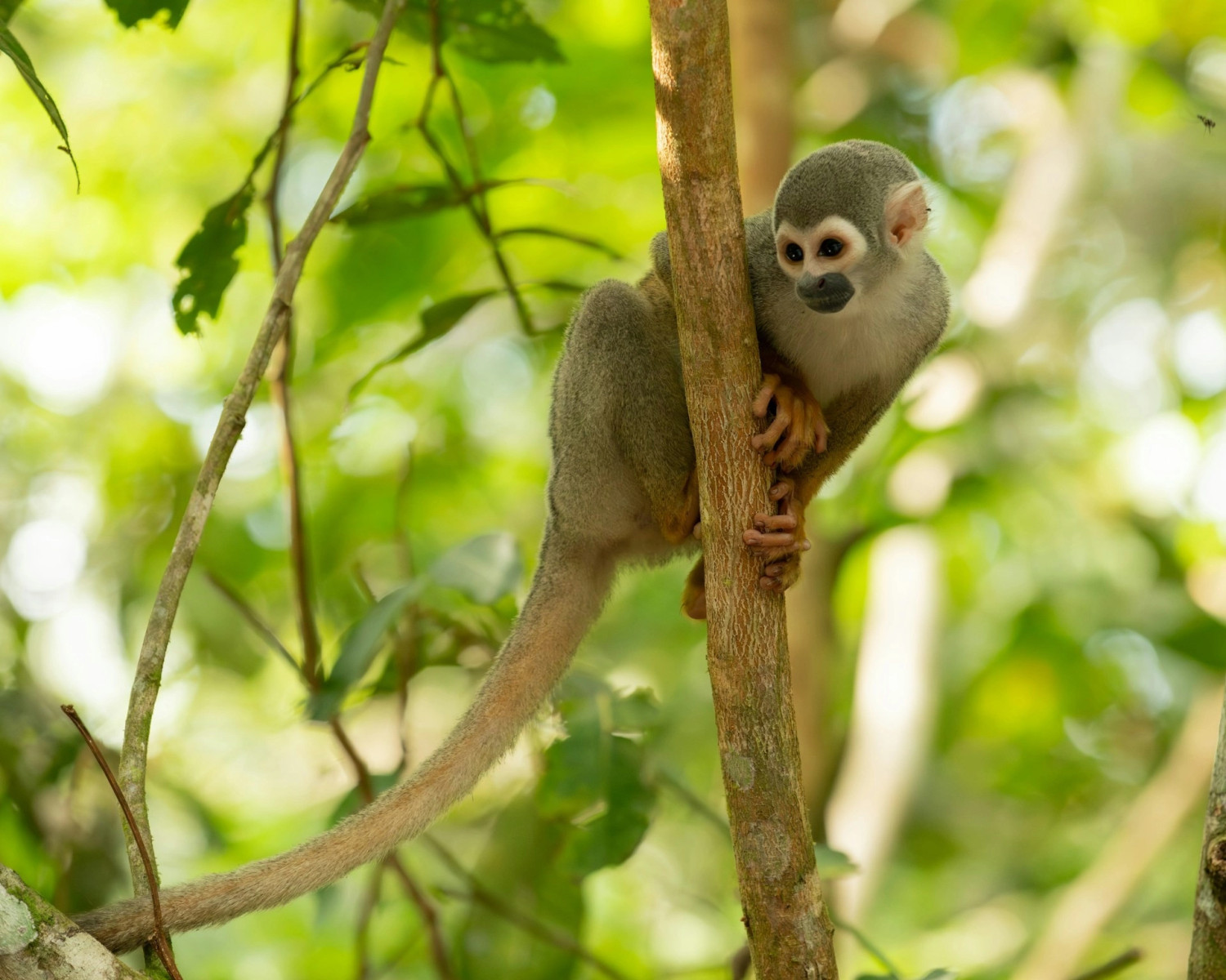Parque Nacional Yasuni